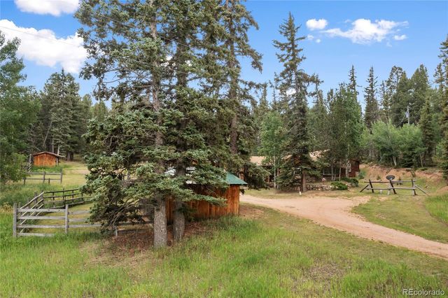 135 Daniwood Grove, Florissant, CO 80816