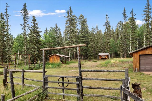 135 Daniwood Grove, Florissant, CO 80816