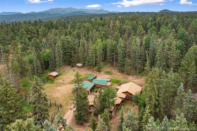 135 Daniwood Grove, Florissant, CO 80816