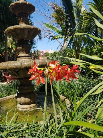 226 NE 1st Avenue Coco Palm Ste, Delray Beach, FL 33444