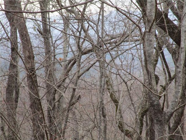 Lot 29 Long Mountain Trail, Cleveland, GA 30528
