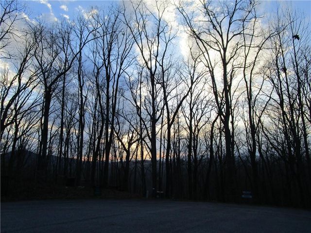 Lot 29 Long Mountain Trail, Cleveland, GA 30528