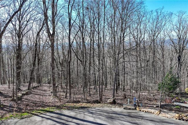 Lot 29 Long Mountain Trail, Cleveland, GA 30528