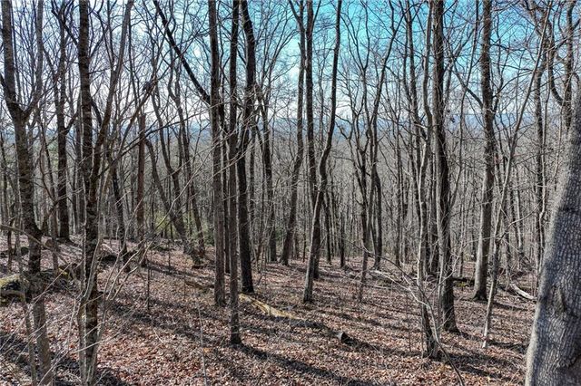 Lot 29 Long Mountain Trail, Cleveland, GA 30528
