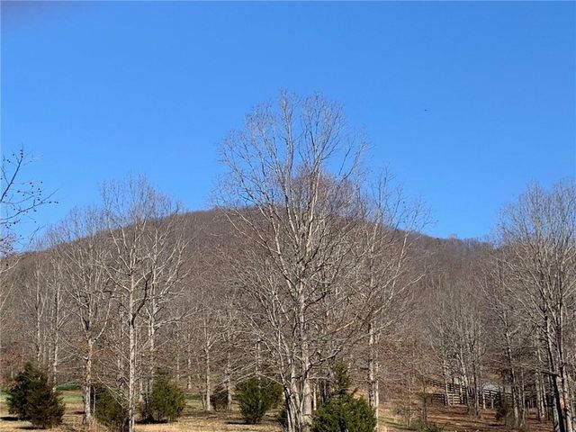 Lot 29 Long Mountain Trail, Cleveland, GA 30528
