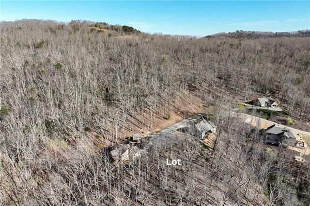 Lot 29 Long Mountain Trail, Cleveland, GA 30528