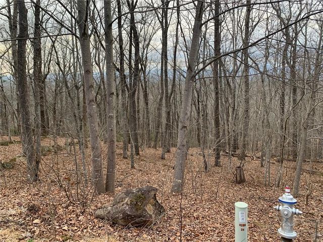 Lot 29 Long Mountain Trail, Cleveland, GA 30528