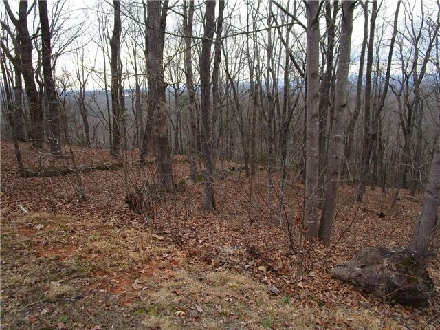 Lot 29 Long Mountain Trail, Cleveland, GA 30528