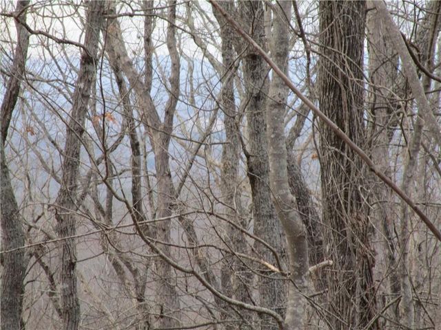Lot 29 Long Mountain Trail, Cleveland, GA 30528