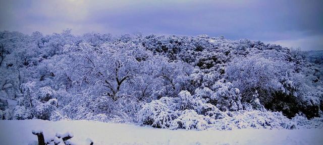 46771 Dunlap Road, Miramonte, CA 93641