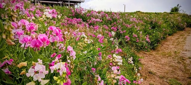 46771 Dunlap Road, Miramonte, CA 93641