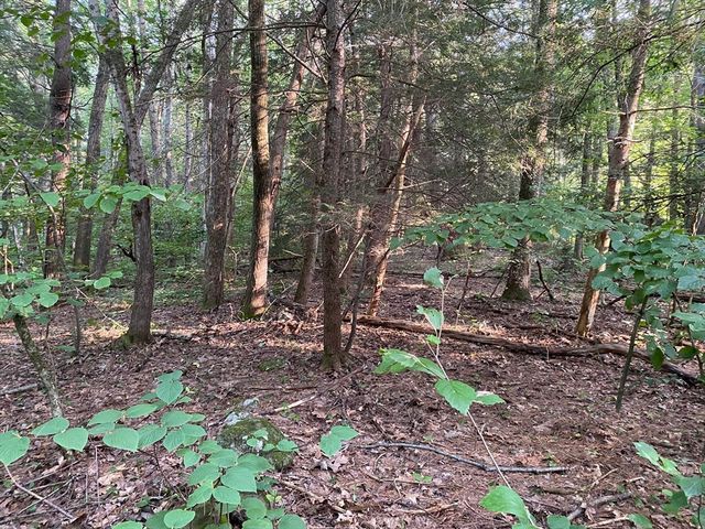 Lot B Brimfield Rd, Monson, MA 01057