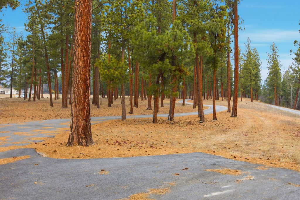 79 Big Bear Road, Stevensville, MT 59870 photo 6