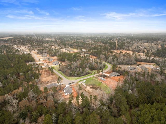 18309 Alana Nell Court, Willis, TX 77378