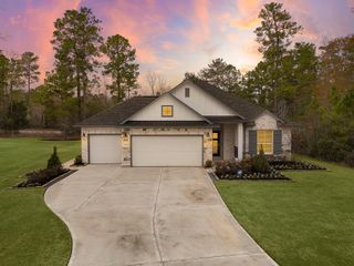 18309 Alana Nell Court, Willis, TX 77378