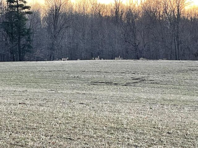 4574 34th Street, Salem Twp, MI 49464