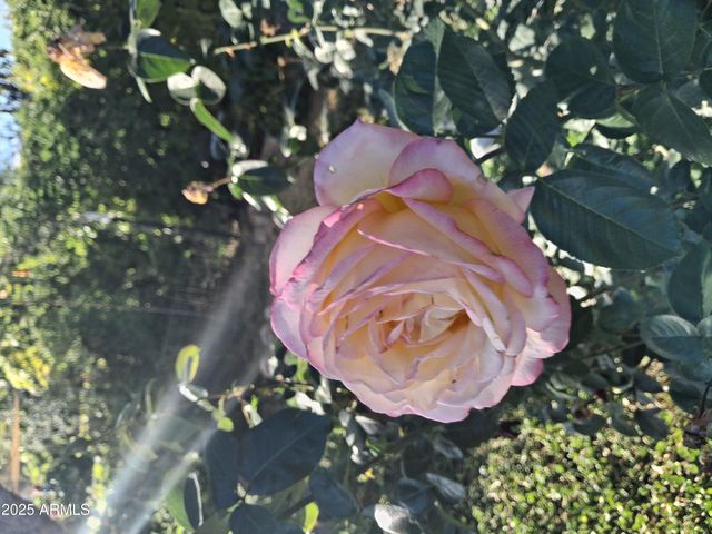 4020 E CREEK VIEW Drive, Camp Verde, AZ 86322