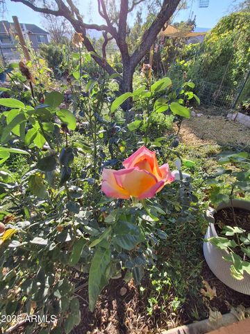 4020 E CREEK VIEW Drive, Camp Verde, AZ 86322