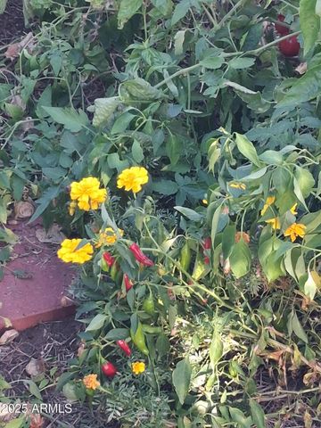 4020 E CREEK VIEW Drive, Camp Verde, AZ 86322