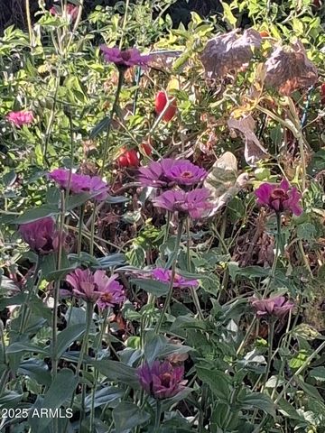 4020 E CREEK VIEW Drive, Camp Verde, AZ 86322