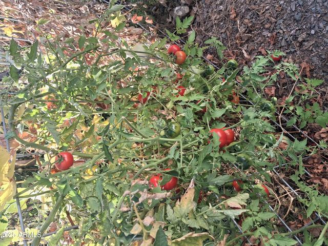 4020 E CREEK VIEW Drive, Camp Verde, AZ 86322