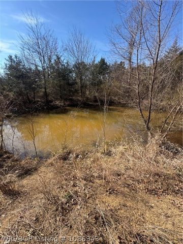 17425 Potts Road, Charleston, AR 72933