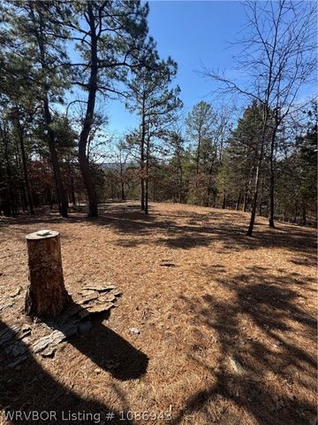 17425 Potts Road, Charleston, AR 72933