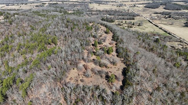 17425 Potts Road, Charleston, AR 72933