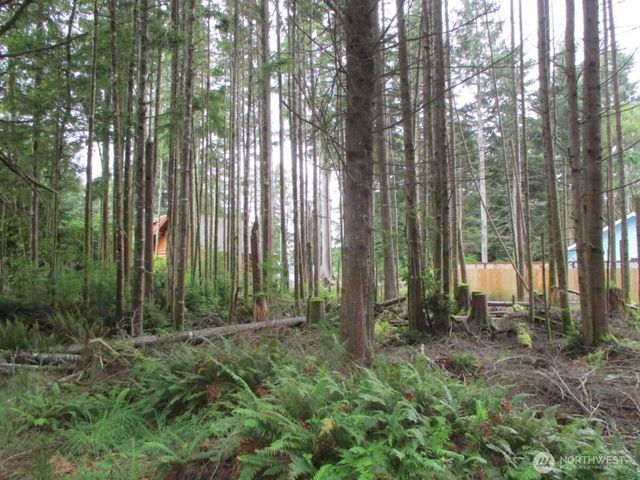 111 Olympic View Avenue NE, Ocean Shores, WA 98569