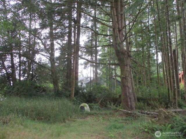 111 Olympic View Avenue NE, Ocean Shores, WA 98569