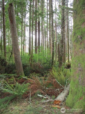 111 Olympic View Avenue NE, Ocean Shores, WA 98569