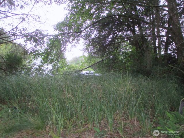 111 Olympic View Avenue NE, Ocean Shores, WA 98569