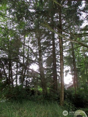 111 Olympic View Avenue NE, Ocean Shores, WA 98569