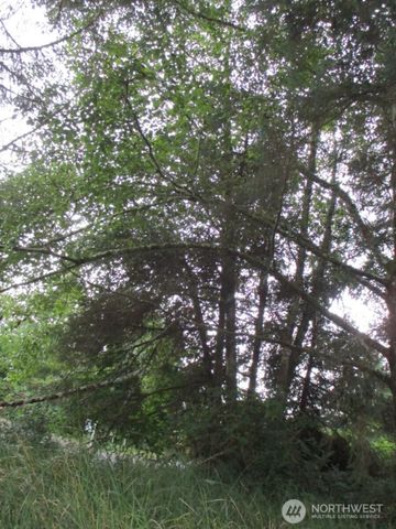 111 Olympic View Avenue NE, Ocean Shores, WA 98569