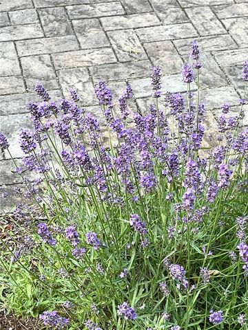 127 Maple Avenue, Victor, NY 14564