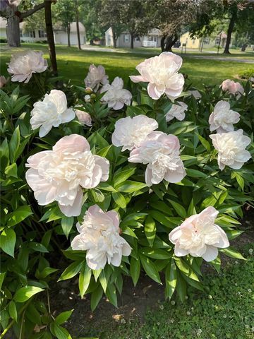 127 Maple Avenue, Victor, NY 14564