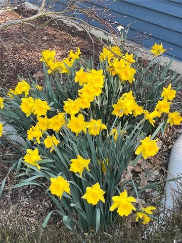 127 Maple Avenue, Victor, NY 14564