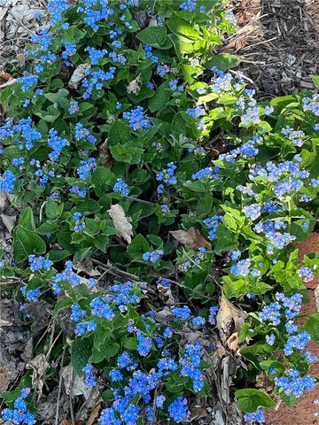 127 Maple Avenue, Victor, NY 14564