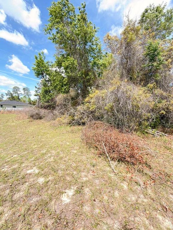 Image 5 of property listing at SW 21 COURT, Ocala, FL 34473