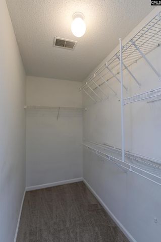 323 Coulter Pine Lane, Columbia, SC 29229