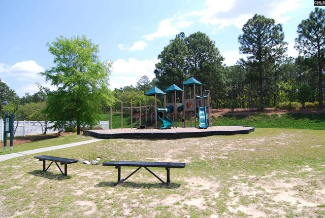 323 Coulter Pine Lane, Columbia, SC 29229