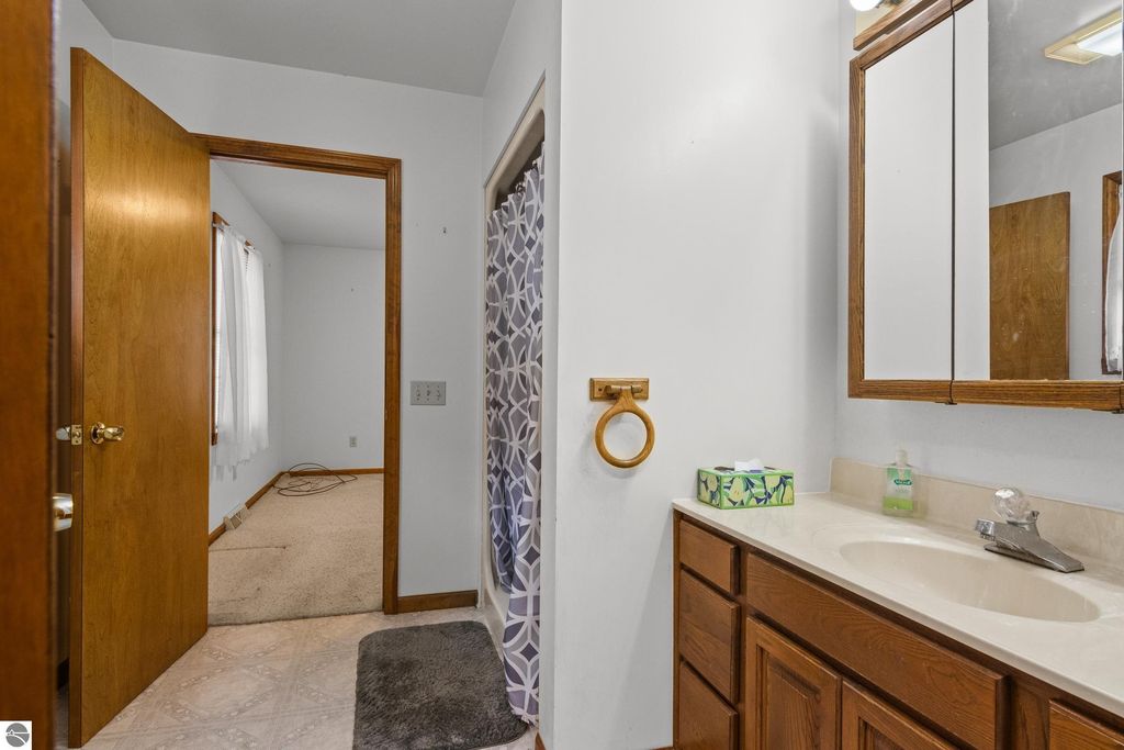 Bathroom interior with wooden cabinetry, sink, and mirror, leading to a carpeted room with natural light from windows, showcasing the home's spacious layout at 396 Davenport Lane, Cadillac, MI.