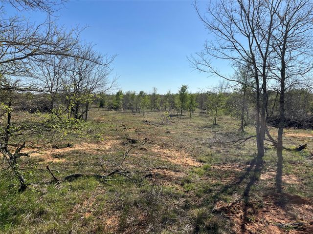 0000 FM 619, Thrall, TX 76578