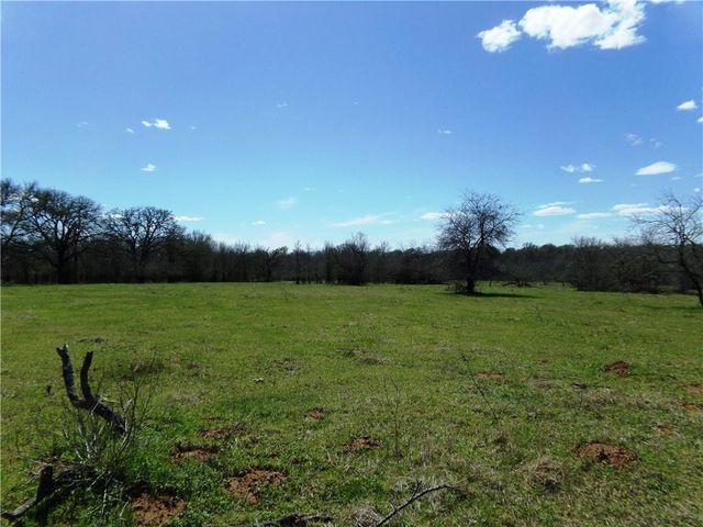 0000 FM 619, Thrall, TX 76578