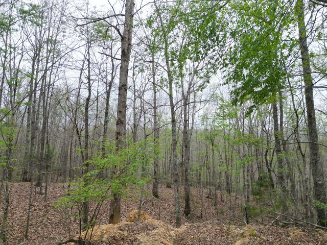 150 Deerwood Rd, Hohenwald, TN 38462