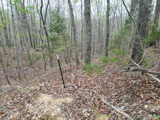 150 Deerwood Rd, Hohenwald, TN 38462