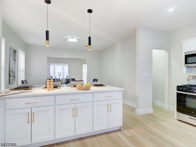 88 Paine Ave, Irvington Twp., NJ 07111
