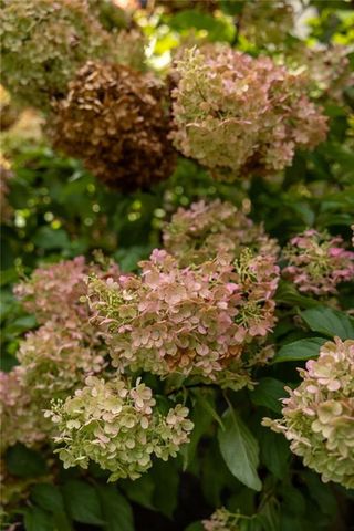 1318 Mile Post Drive, Dunwoody, GA 30338