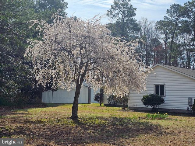 3547 PRCHAL RD, Preston, MD 21655