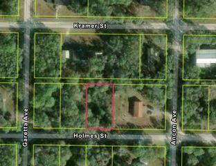 35415 HOLMES STREET, Webster, FL 33597